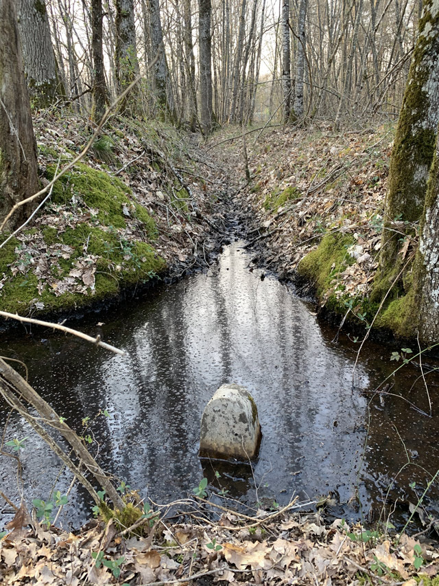 Fossé mitoyen